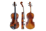GEWA Violin Allegro - 4/4 (Set up)