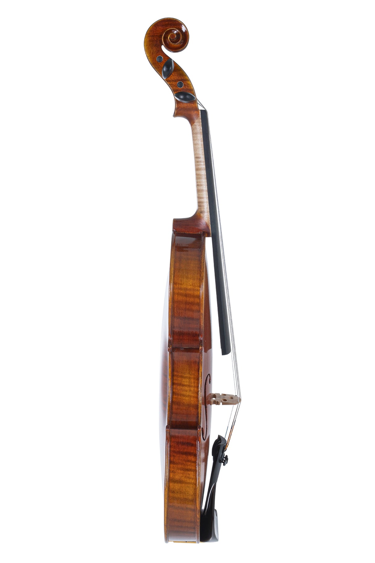 GEWA Violin Maestro 1 - 4/4 (Ready to play incl. shaped case, carbon bow and Il Cannone strings, transport-secured)