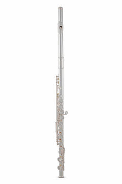 Roy Benson Flute Roy Benson FL-602E - FL-602E