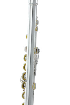 Roy Benson Flute Roy Benson FL-602E - FL-602E