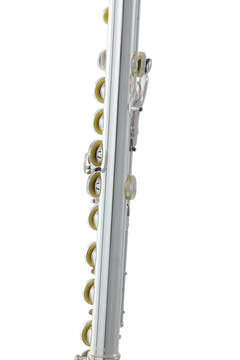 Roy Benson Flute Roy Benson FL-602E - FL-602E