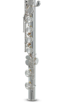 Roy Benson Flute Roy Benson FL-602E - FL-602E
