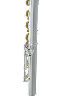 Roy Benson Flute Roy Benson FL-602RE - FL-602RE
