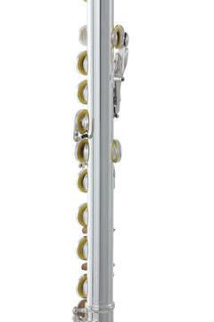 Roy Benson Flute Roy Benson FL-602RE - FL-602RE