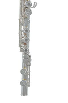 Roy Benson Flute Roy Benson FL-602RE - FL-602RE