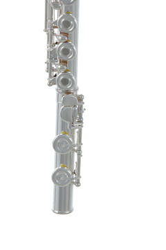 Roy Benson Flute Roy Benson FL-602RI - FL-602RI