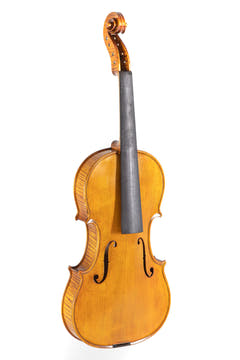 GEWA Georg Walther koncertviolin 4/4, gylden-gul, uden opsætning