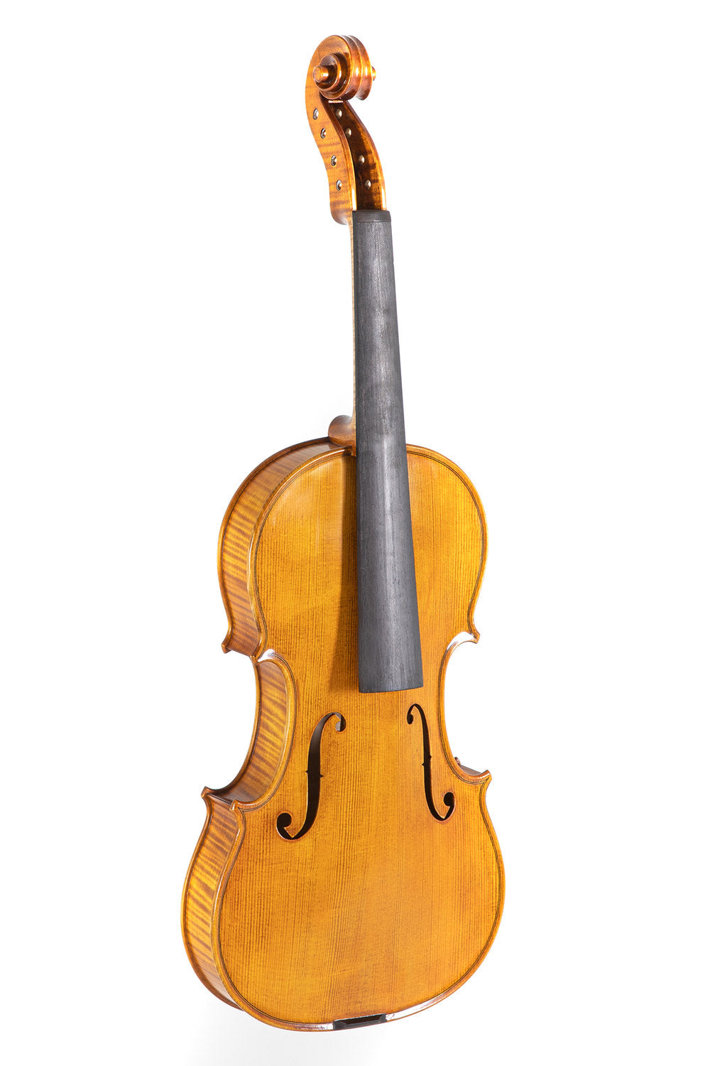 GEWA Georg Walther koncertviolin 4/4, gylden-gul, uden opsætning