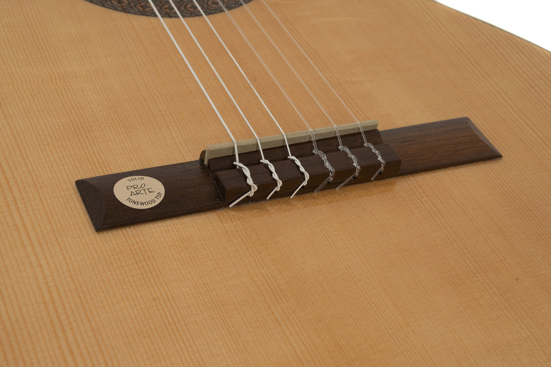 GEWA Classical guitar Pro Arte GC 130 A - 4/4 size
