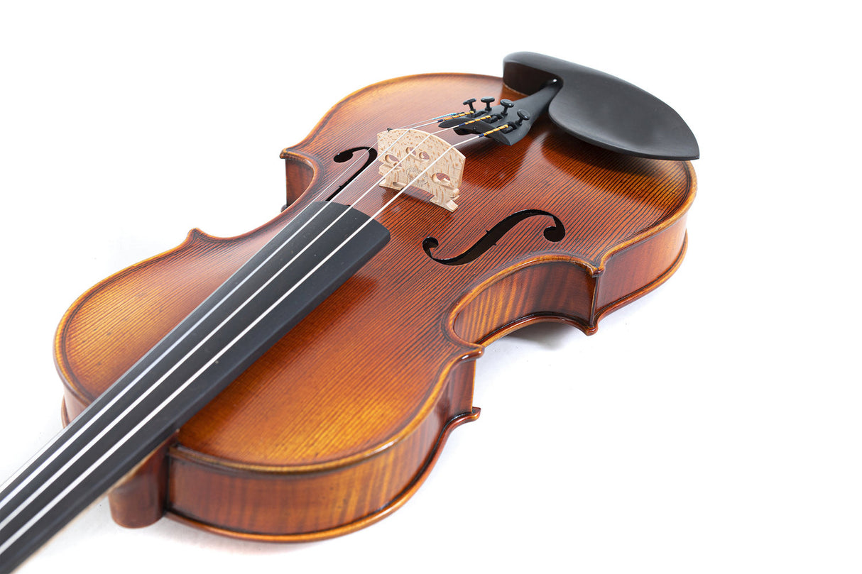 GEWA Violin Maestro 2 - 4/4 (Ready to play incl. shaped case, carbon bow and Il Cannone strings, transport-secured)