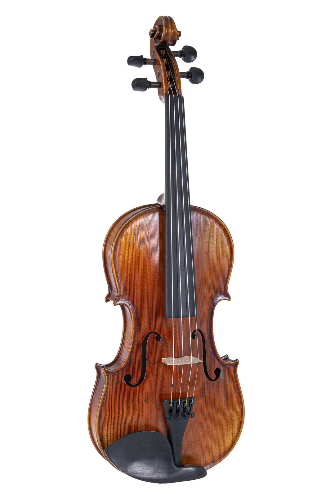 GEWA Violin Maestro 2 - 4/4 (Ready to play incl. GEWA Bio violin shaped case, GEWA Carbon Bow Advanced and Il Cannone strings)