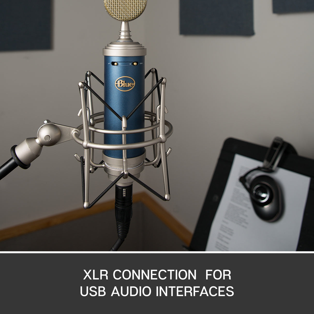 Blue SL Kondensatormikrofon (Bluebird)