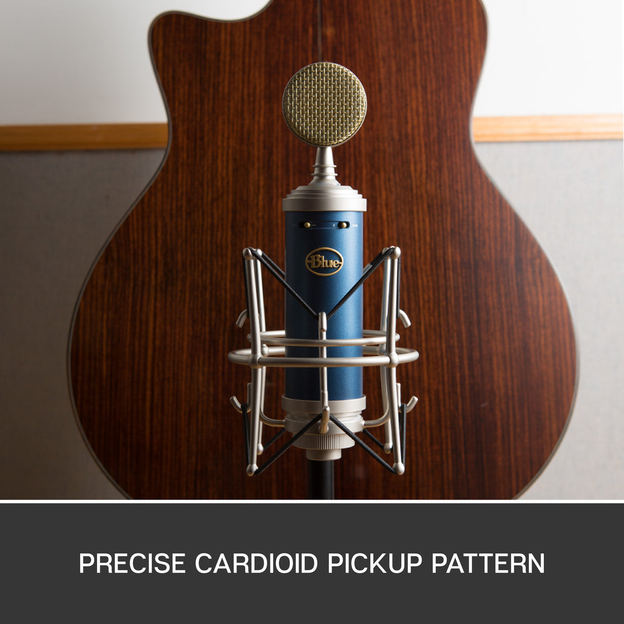Blue SL Kondensatormikrofon (Bluebird)