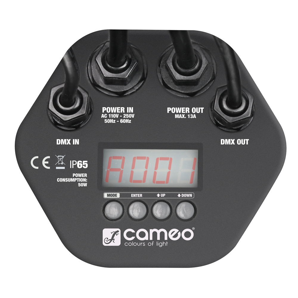 Cameo Outdoor PAR Lampe RGB IP65 (12x3W)