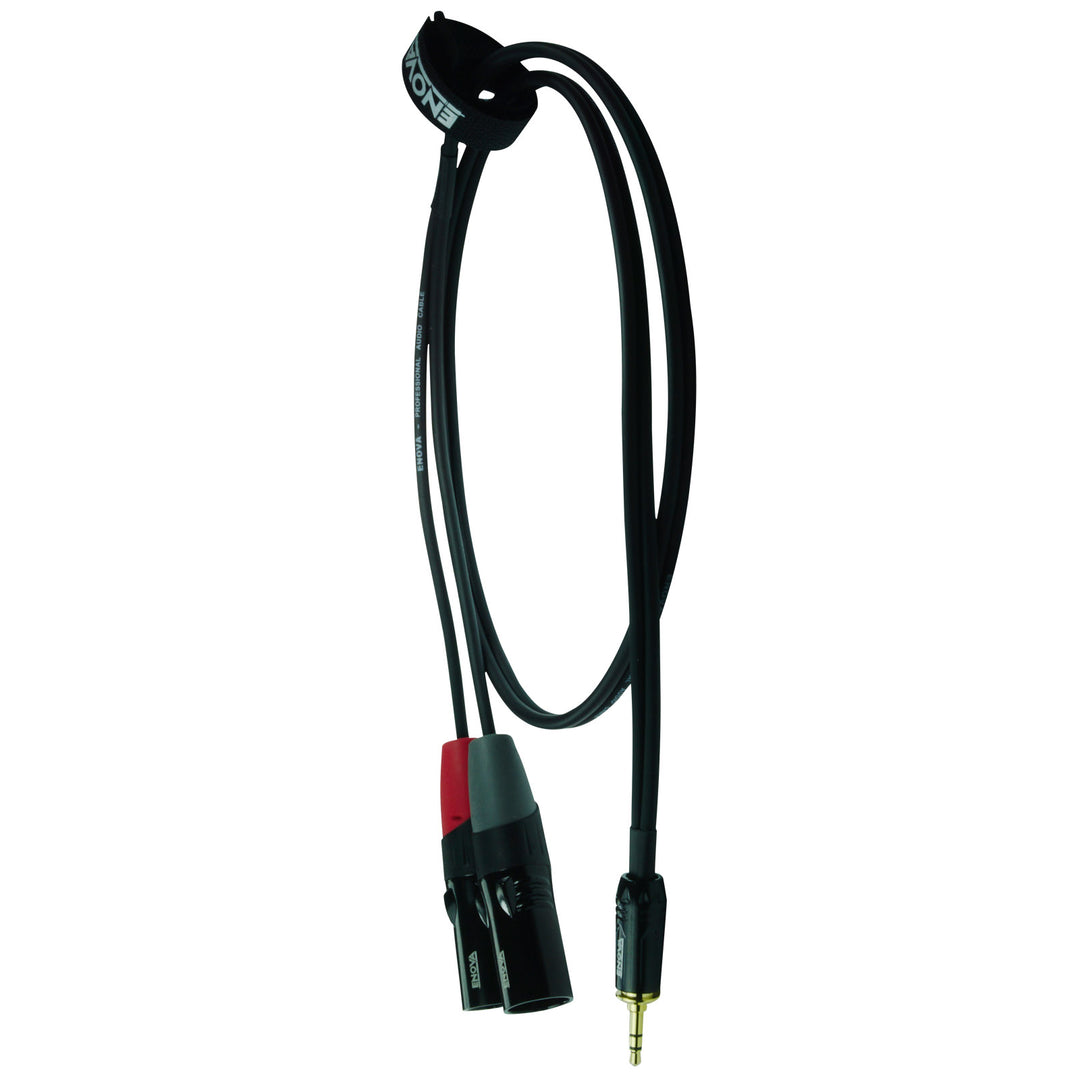 Enova adapter kabel MiniJack > 2 x XLR han, 1 meter
