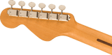 Fender Highway Series Western (Natur)