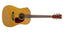 Grooveland Western Guitar med pickup