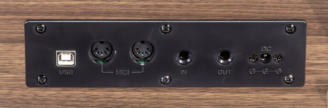 Grooveland DDP-140 El Klaver (Natur)