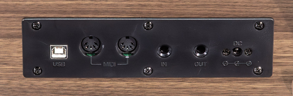 Grooveland DDP-140 El Klaver (Natur)