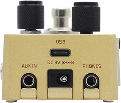 Hotone Omni AC