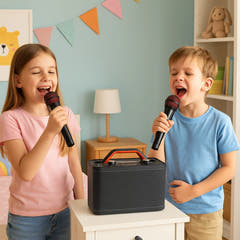 Karaoke anlæg med 2 mikrofoner (Sort)