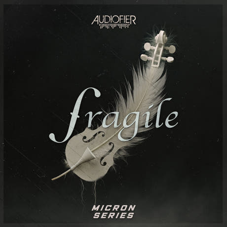 Micron FRAGILE