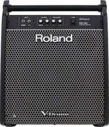 Roland PM-200 Scenemonitor