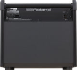 Roland PM-200 Scenemonitor