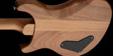 PRS SE "Paul's Guitar" Elguitar (Turquoise)
