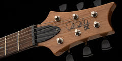 PRS SE "Paul's Guitar" Elguitar (Turquoise)
