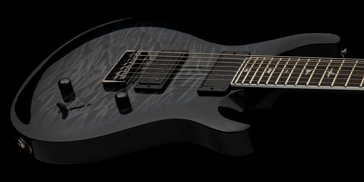 PRS SE SVN Holcomb Elguitar (Holcomb Blue Burst)