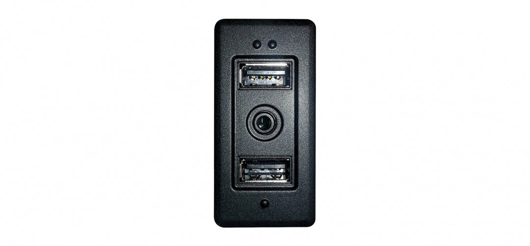 Pioneer CA-IW-VAG.002V USB/AUX Indgangssokkel