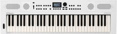 RETURVARE - Roland GO:KEYS 5 Keyboard (Hvid)