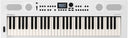 RETURVARE - Roland GO:KEYS 5 Keyboard (Hvid)