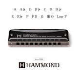 Hammond HA-20 Mundharmonika (G)