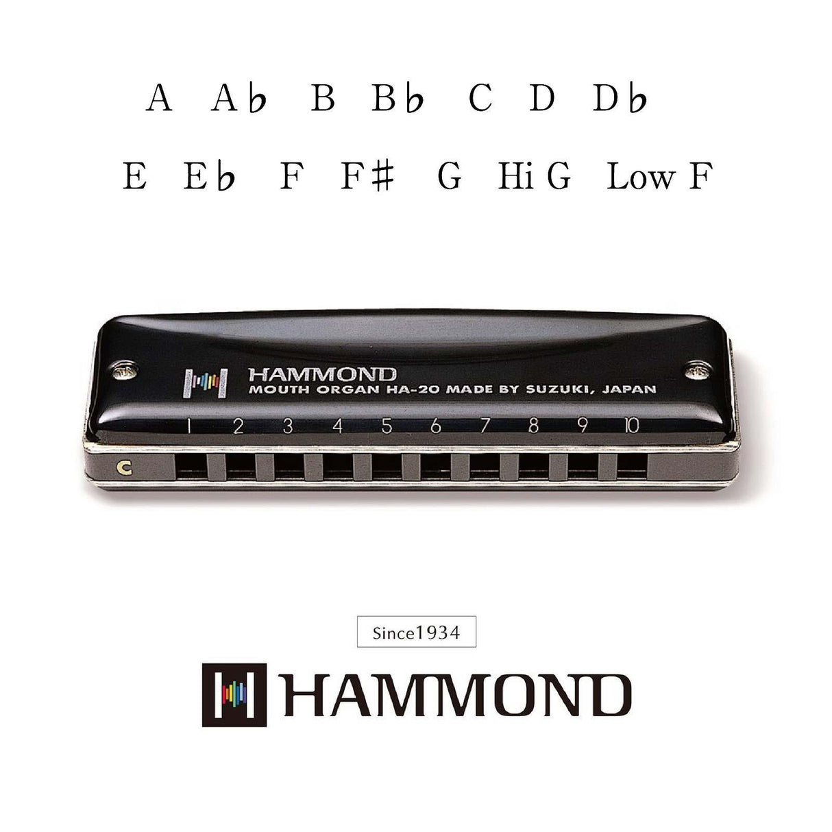 Hammond HA-20 Mundharmonika (A)