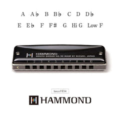 Hammond HA-20 Mundharmonika (C)