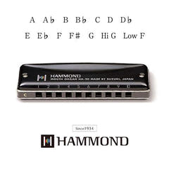 Suzuki Hammond HA-20 Mundharmonika (F#)