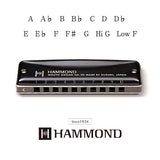Suzuki Hammond HA-20 Mundharmonika (F#)