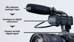Tascam CA-XLR2D mikrofonadapter til kamera, Canon