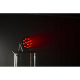Ibiza ThinPar (12x6W)