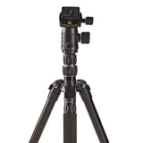 Tripod (Sort, 3kg, 145 cm)
