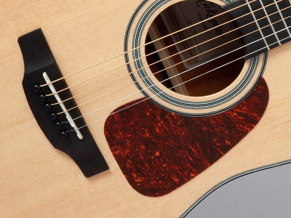 Takamine GD10-NS Western Guitar (Natur)
