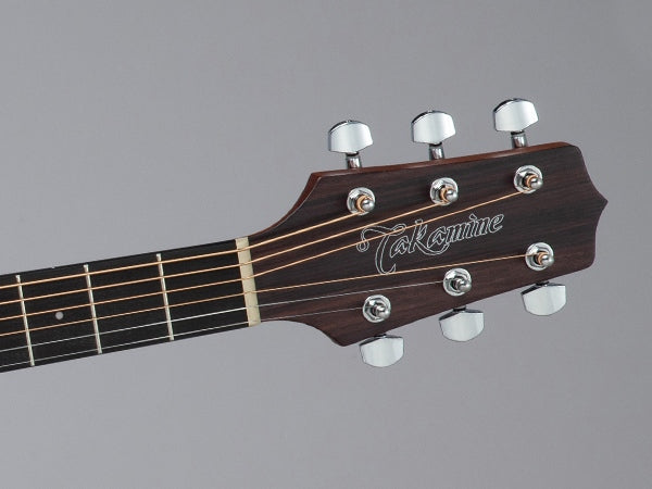 Takamine GD10-NS Western Guitar (Natur)
