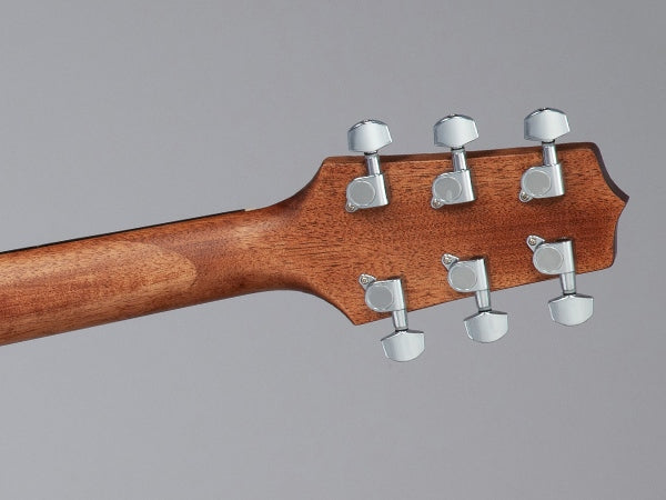 Takamine GD10-NS Western Guitar (Natur)