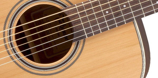 Takamine GD20-NS Western Guitar (Natur)
