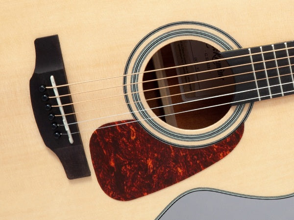 Takamine GN10-NS Western Guitar (Natur)
