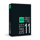 ACID Pro 11 Suite UPG