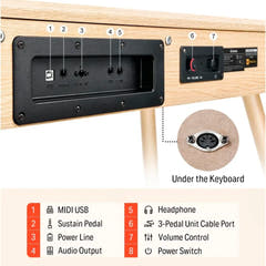 Donner DDP-80 el-klaver beige Komplet Pakke
