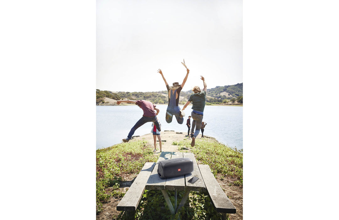 JBL BASS PRO GO All-in-One Subwoofer & Transportabel Højttaler